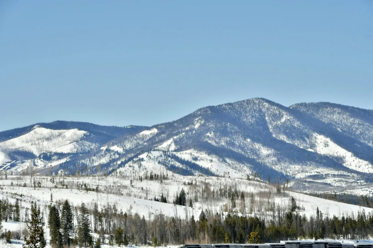 A breathtaking view of snow-covered mountains framed by evergreen trees beneath a clear blue sky. This peaceful, scenic landscape offers visual cues for both winter and summer activities like skiing, snowboarding, hiking, and wildlife watching.